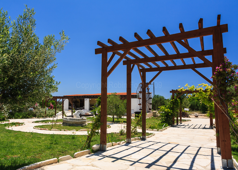 Oleastro Olive Park