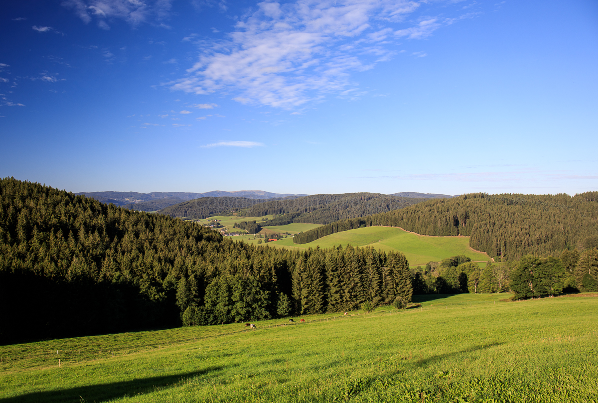 Pension Forsthaus Täle