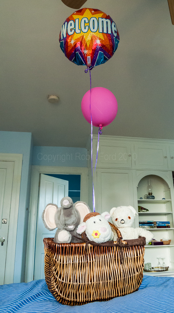 Claire's menagerie