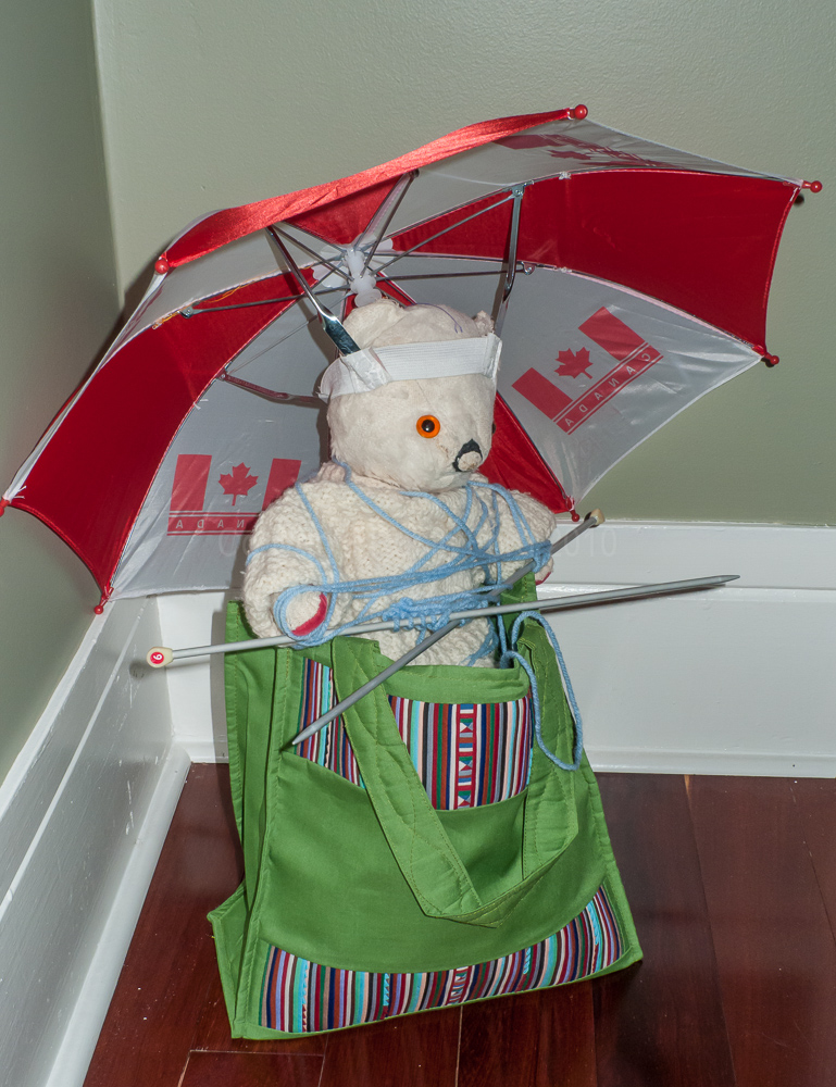 Snowy gets in more trouble