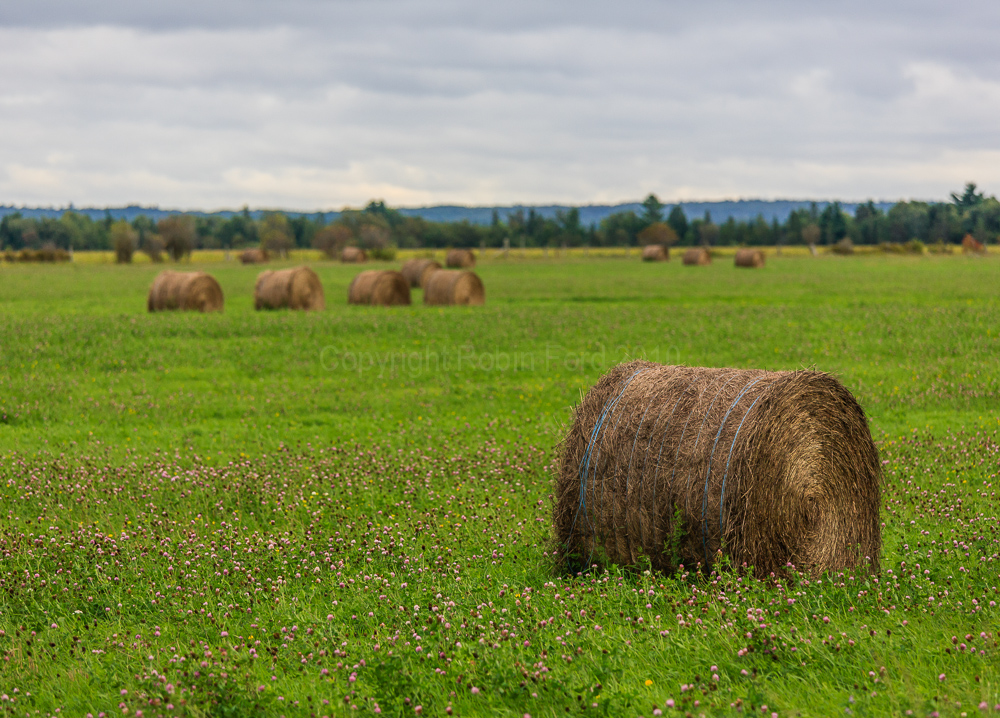 Highway 60 west of Renfrew ON
