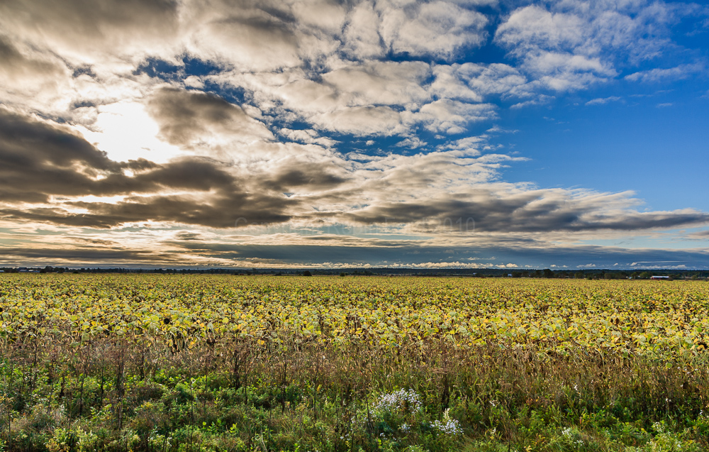 Near Renfrew ON