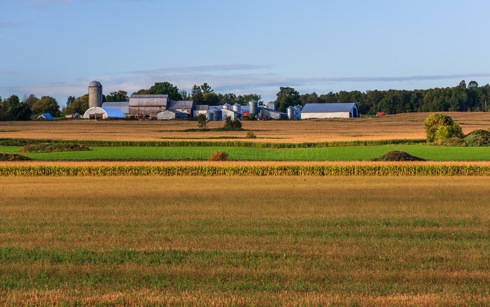 Near Renfrew ON