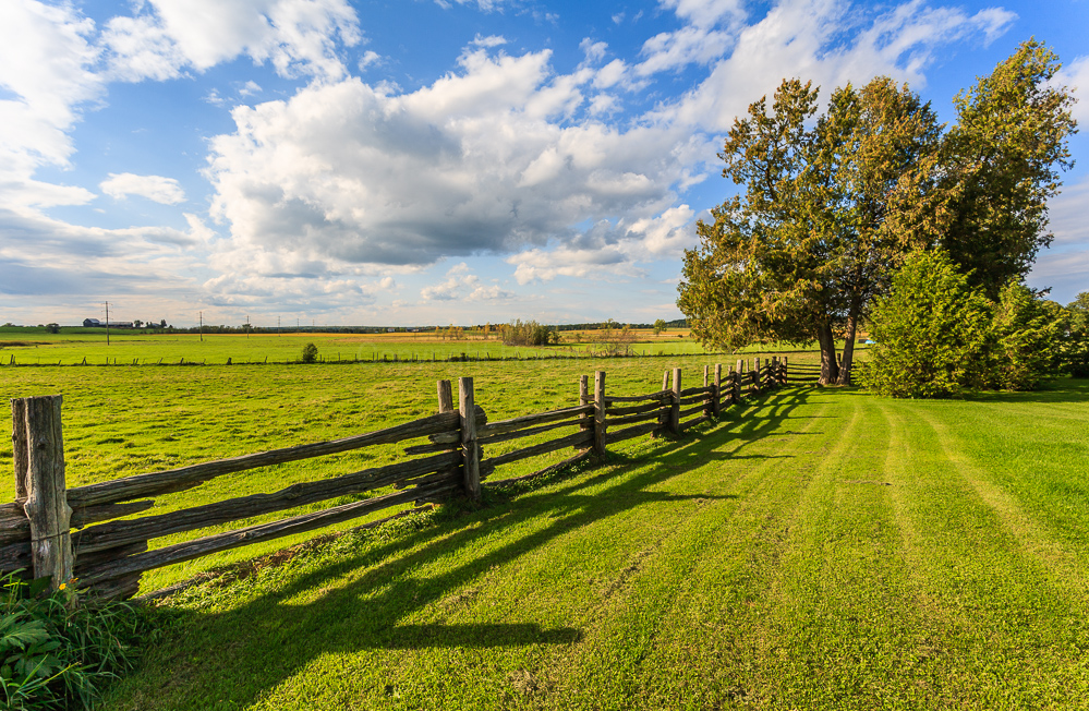 A friends farm