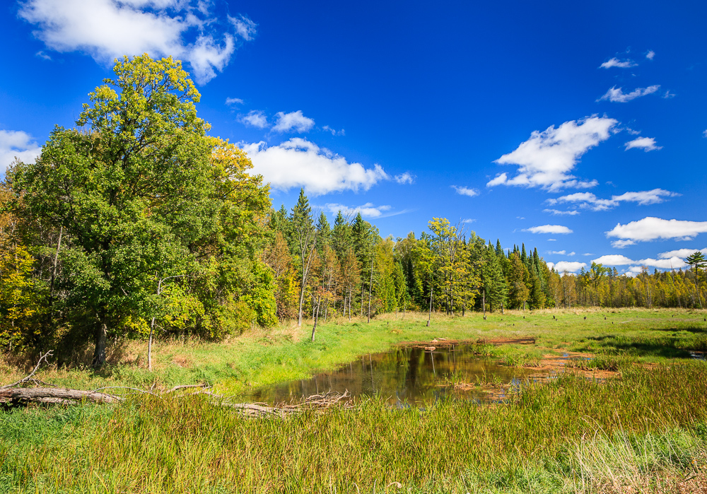Highway 511 near Calabogie ON
