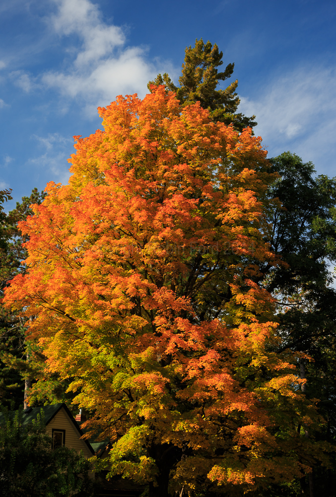 Arnprior, ON