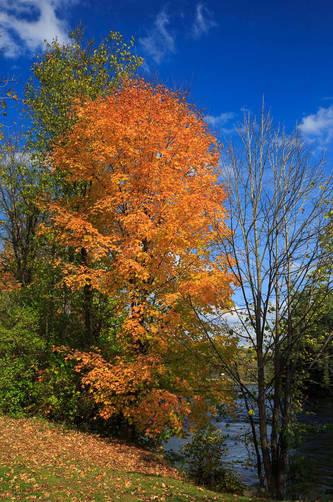 Calabogie Road