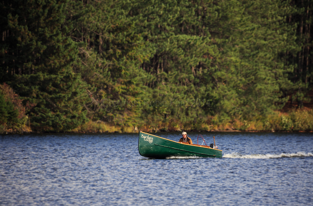 Algonquin Provincial Park