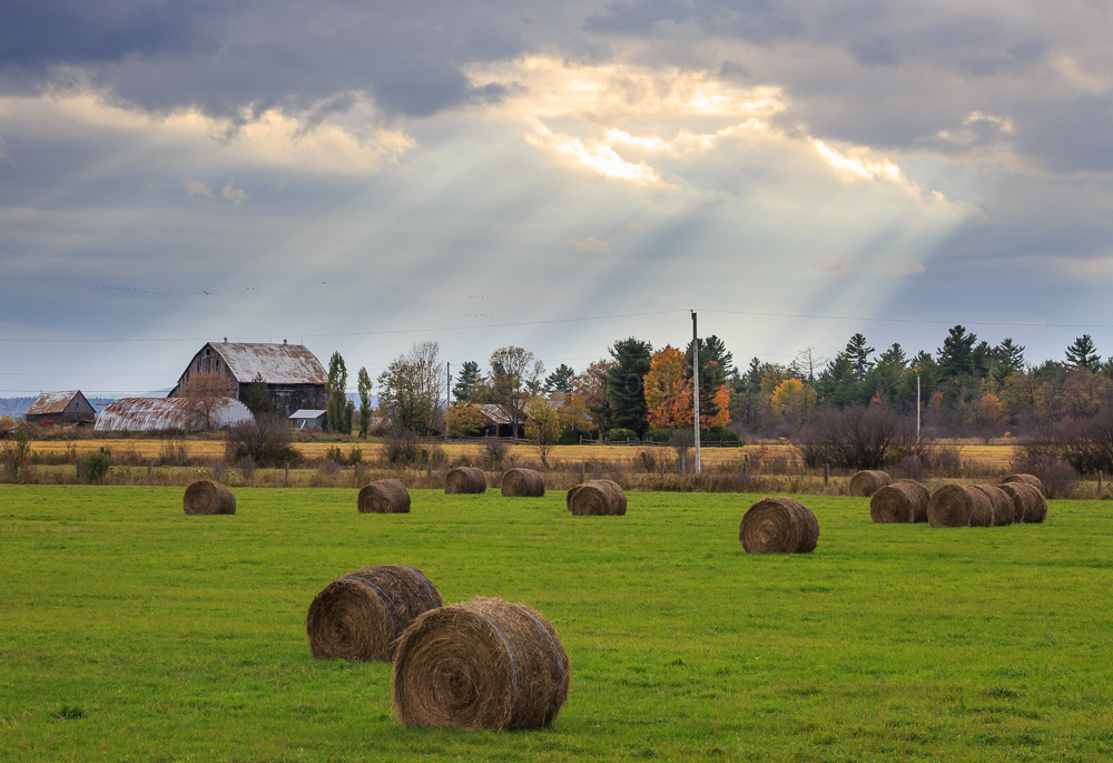 Highway 60, ON