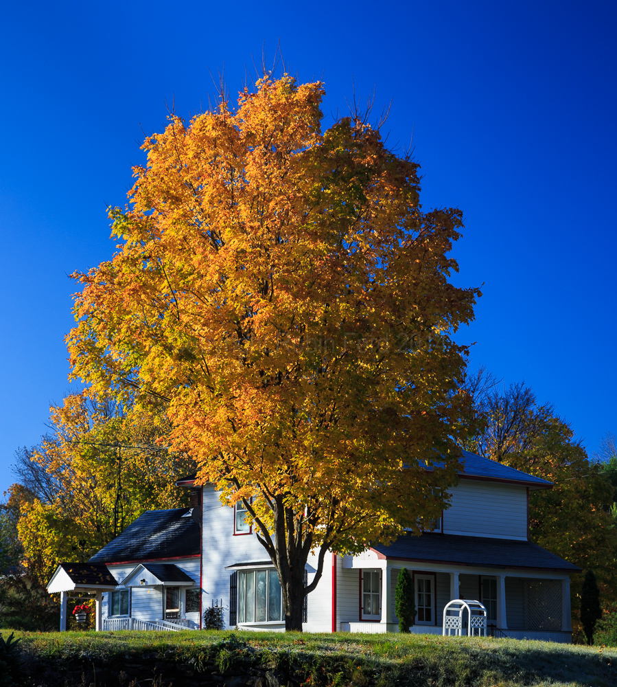 Denbigh, ON
