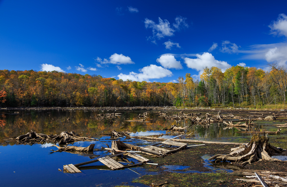 Loon Lake, ON