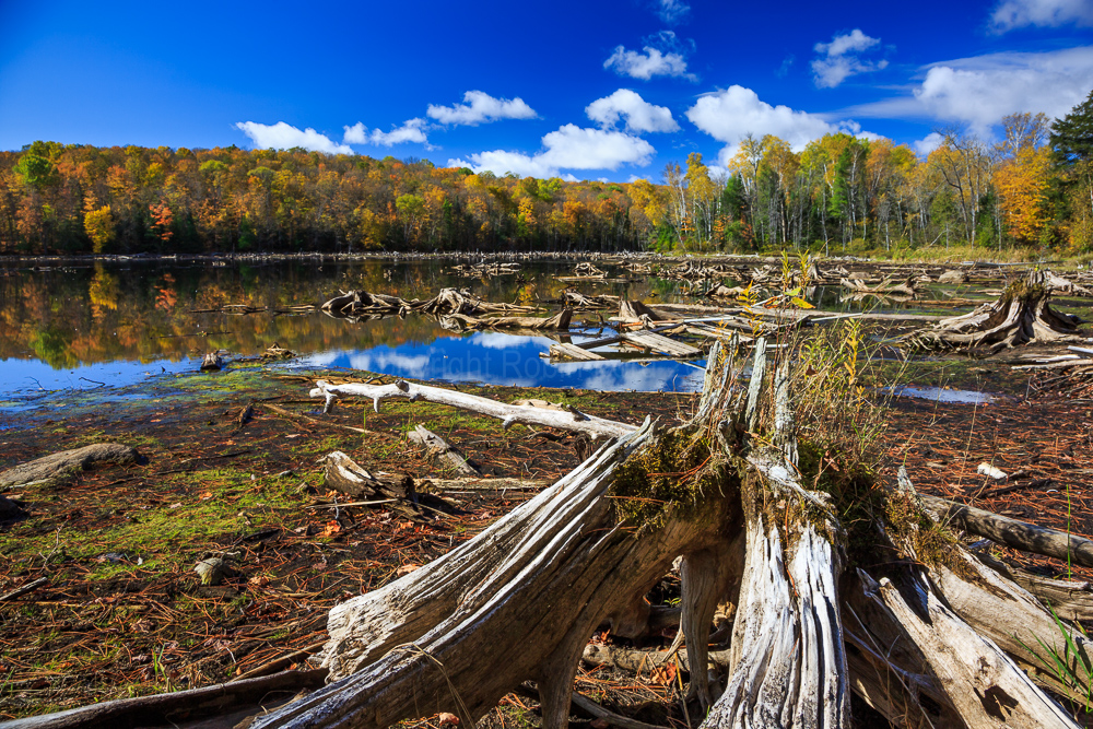 Loon Lake, ON