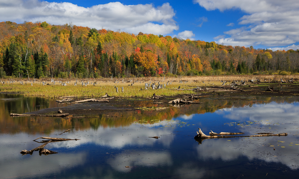 Loon Lake, ON