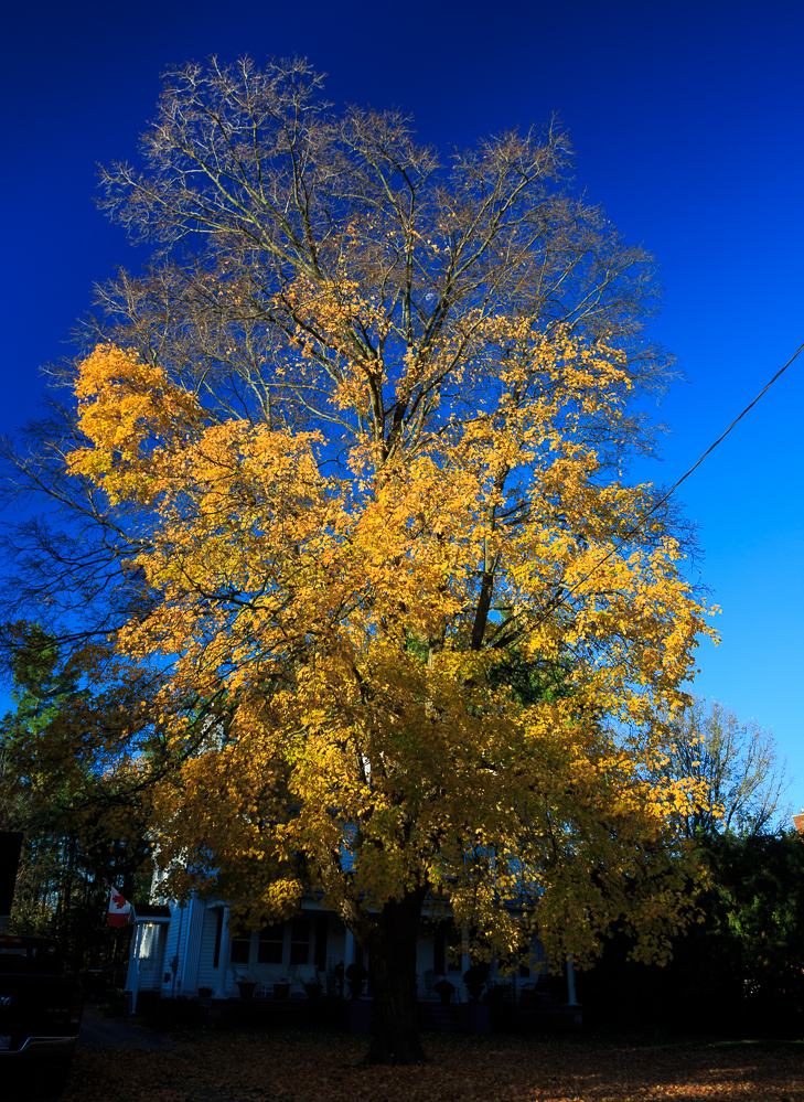 Renfrew, ON