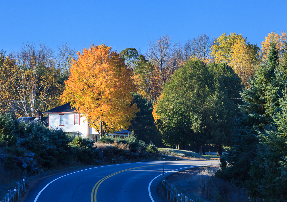 Denbigh, ON