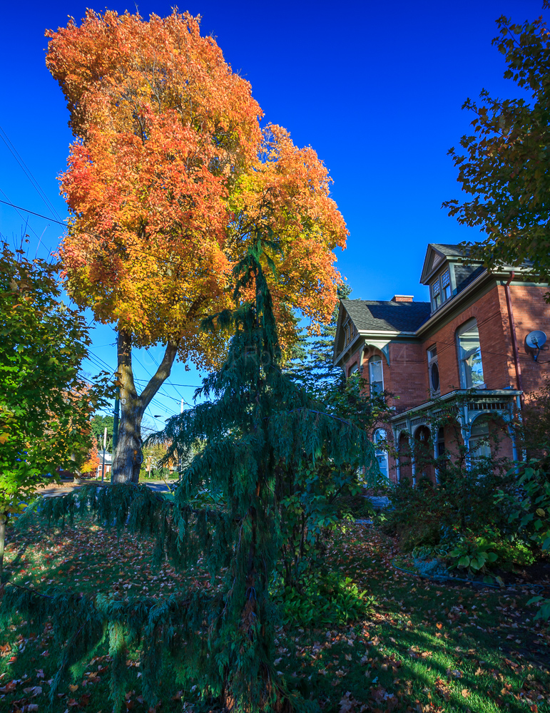 Renfrew, ON