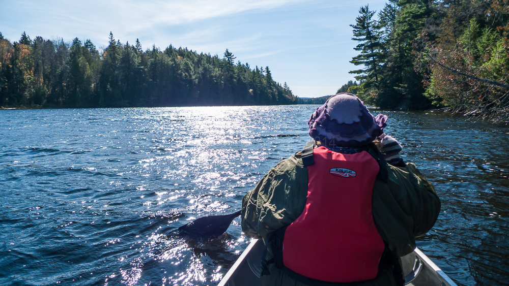 Algonquin Provincial Park