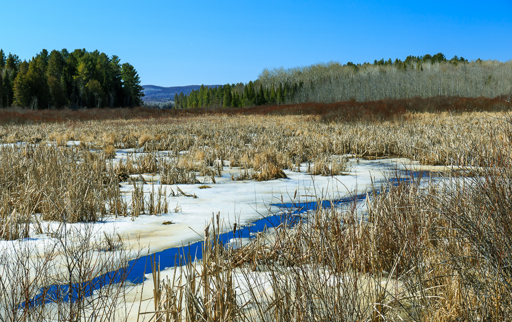 Bonnechere Valley