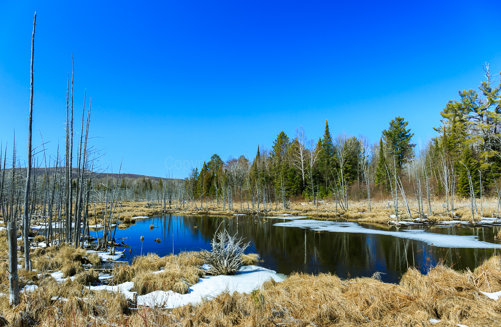 Bonnechere Valley
