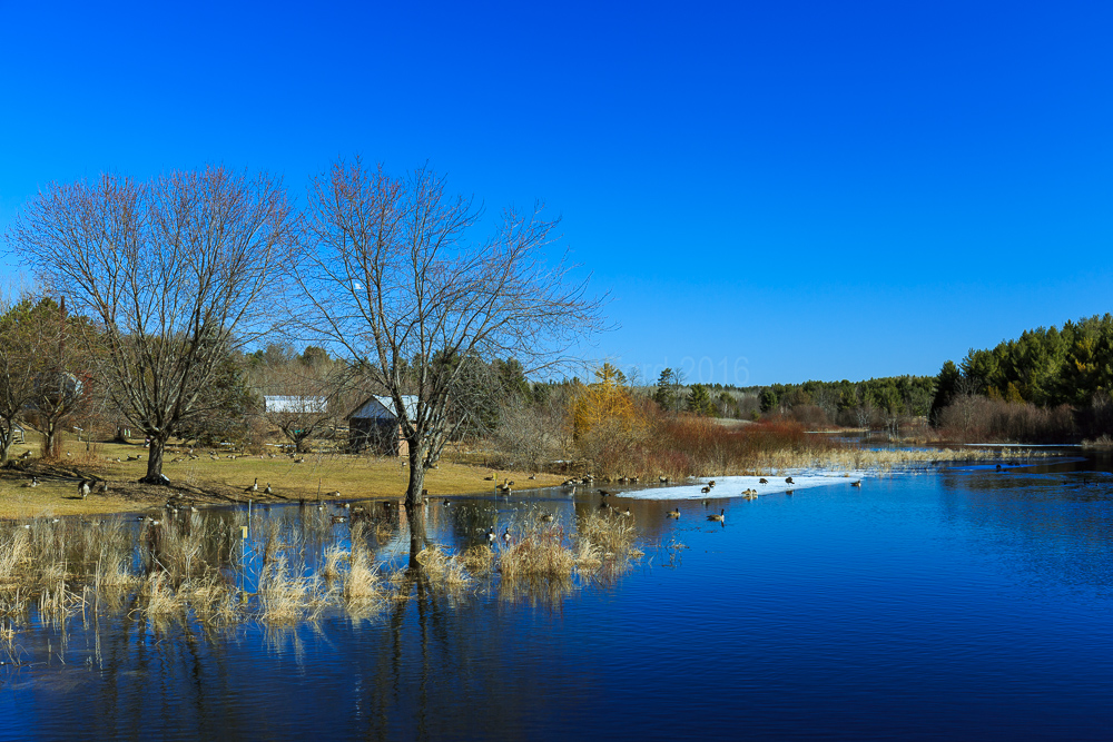 Constant Creek