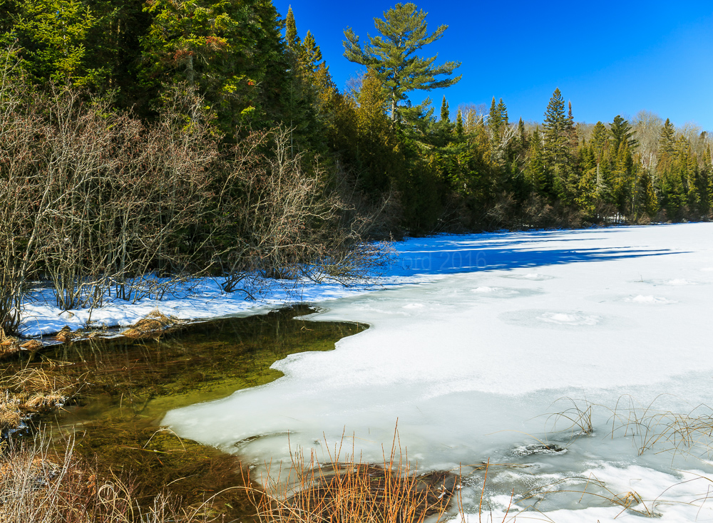 Tooeys Lake