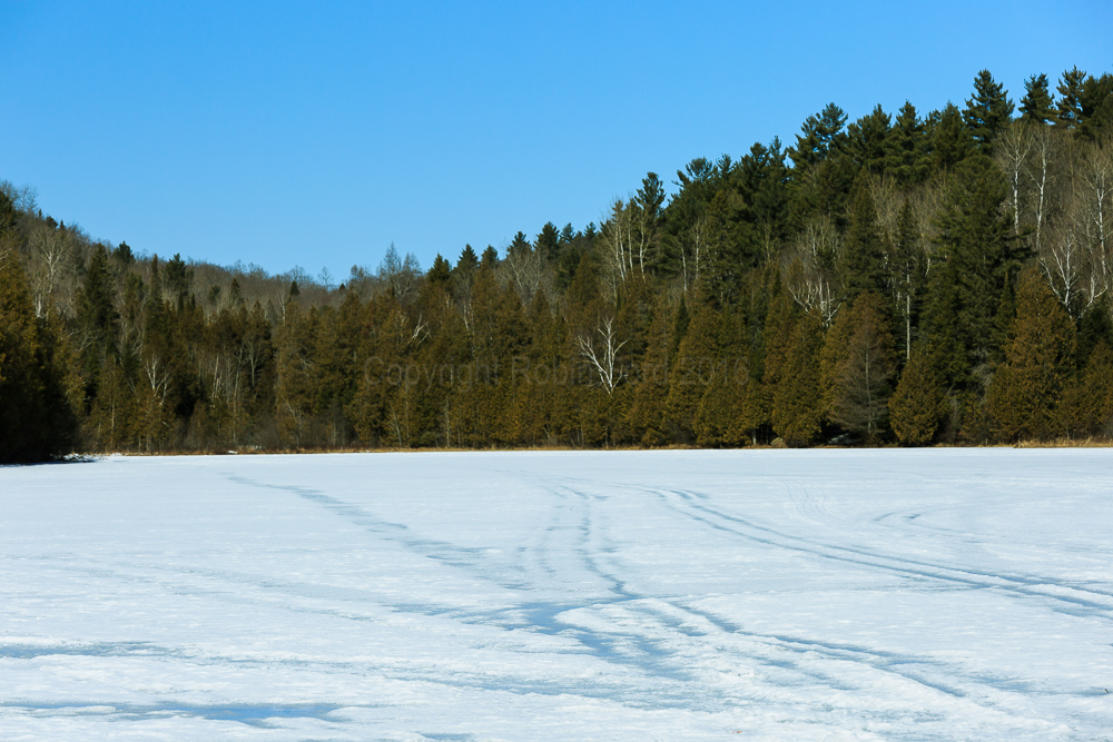 Tooeys Lake