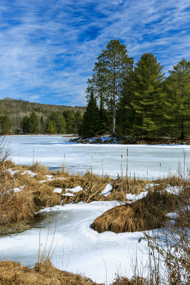 Near Combermere