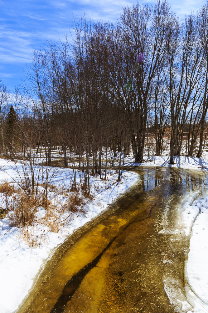 Palmer Rapids