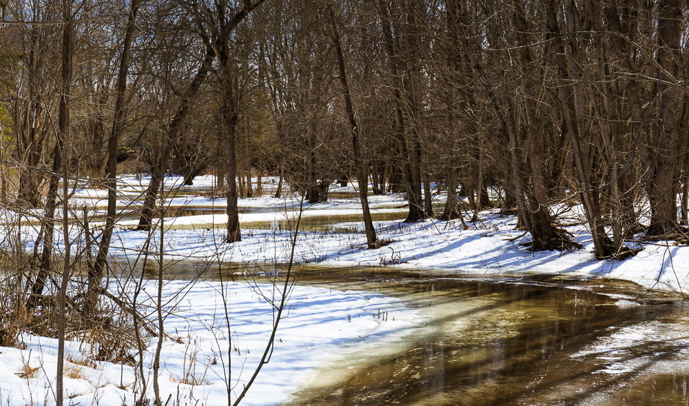 Palmer Rapids