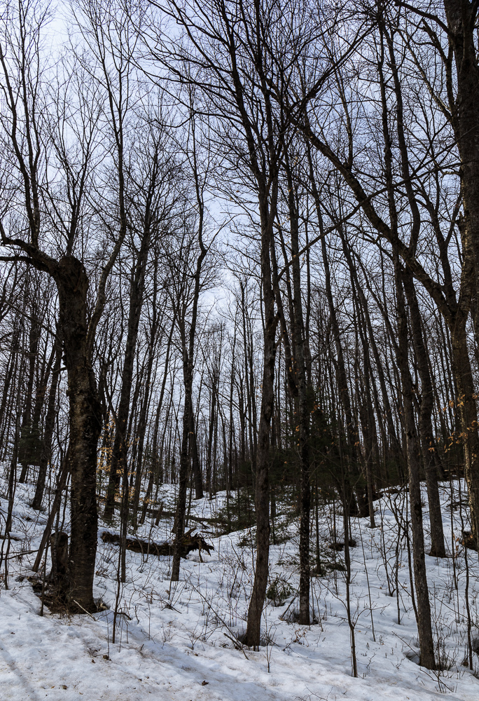 Goshen Road