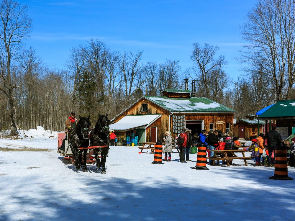 Fulton’s Pancake House and Sugar Bush