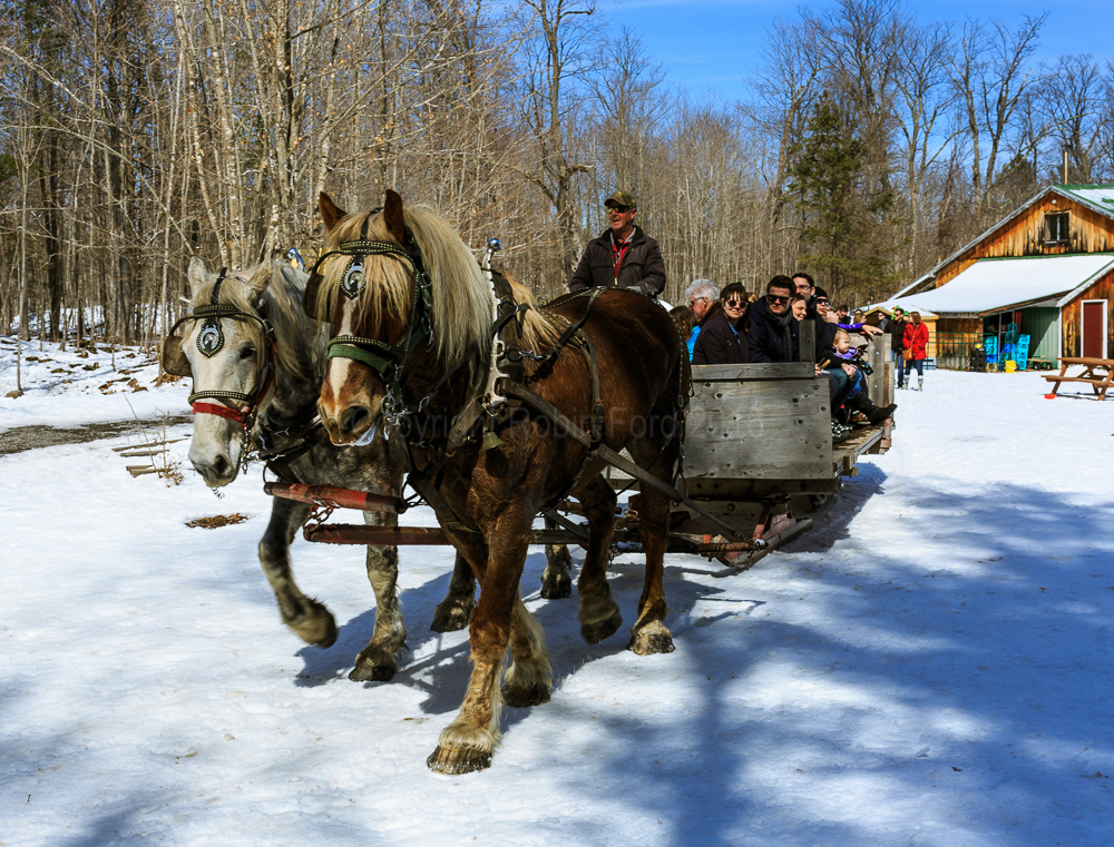 Fulton’s Pancake House and Sugar Bush