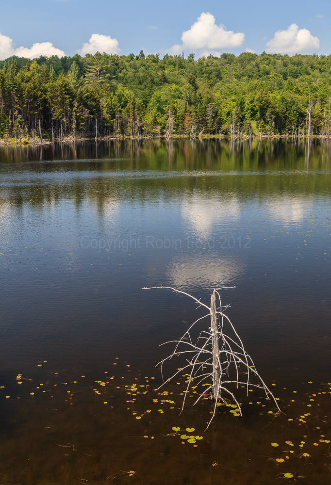 Adirondacks NY, Highway 30