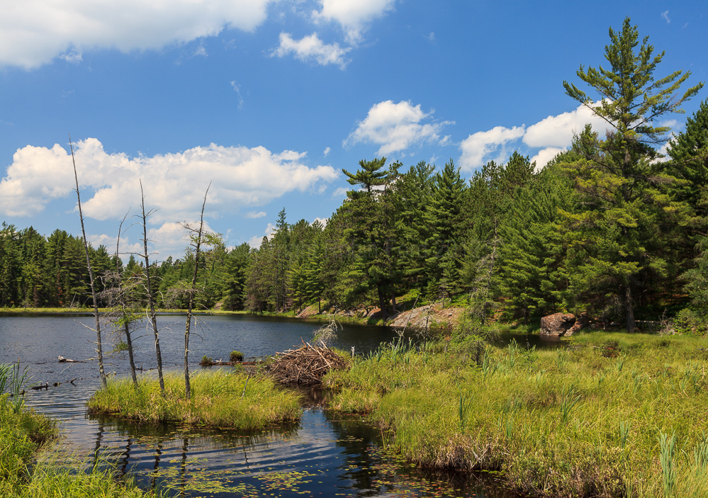 Algonquin Provincial Park, ON