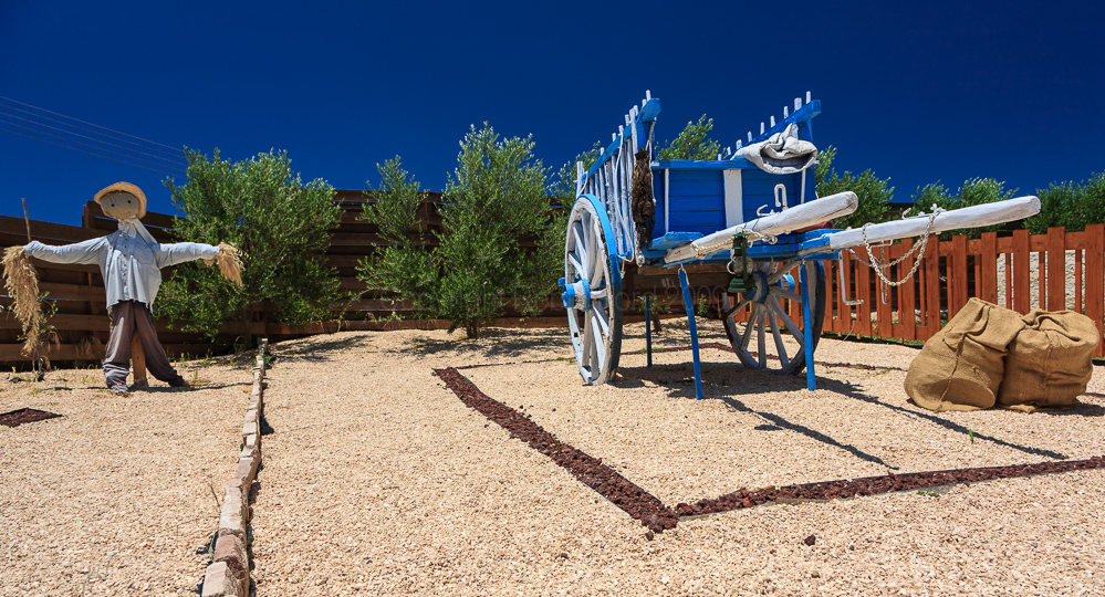 Oleastro Olive Park