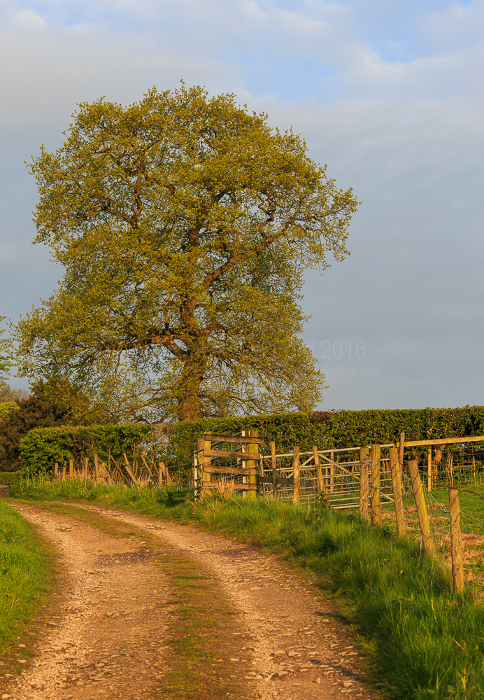 Osmaston