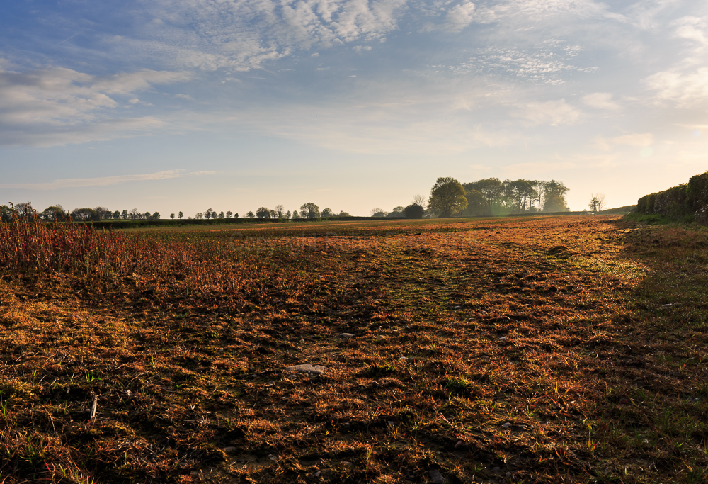 Osmaston