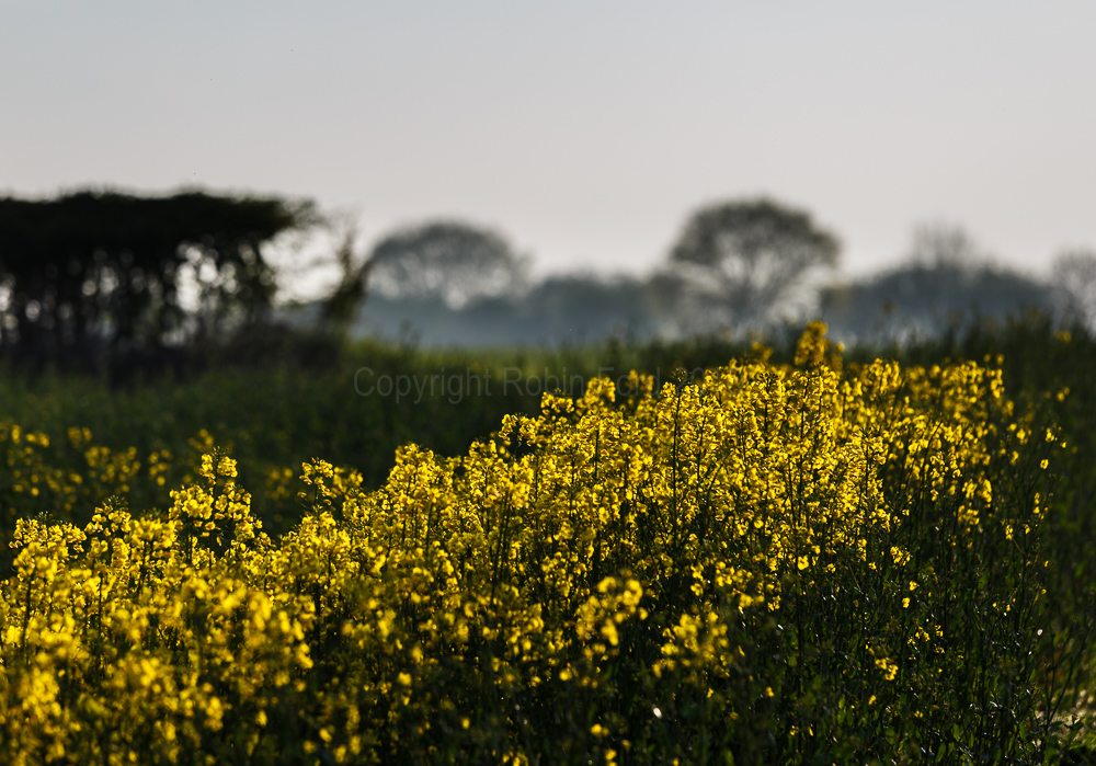 Osmaston