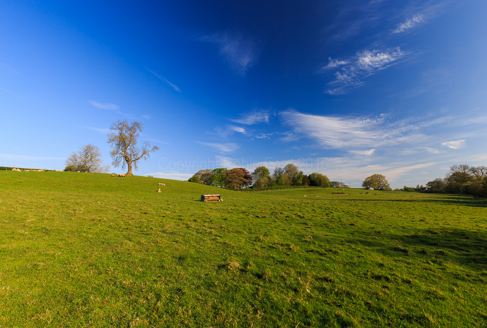 Osmaston