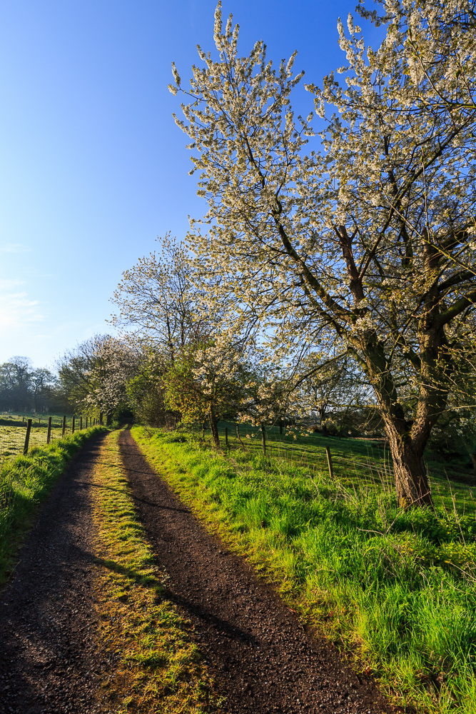 Osmaston