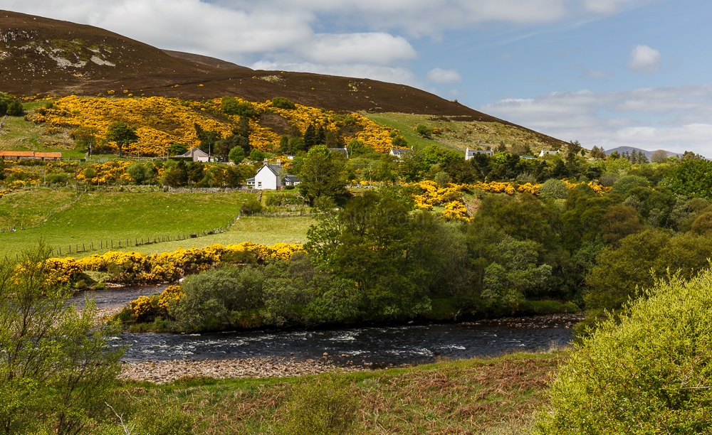 River Helmsdale
