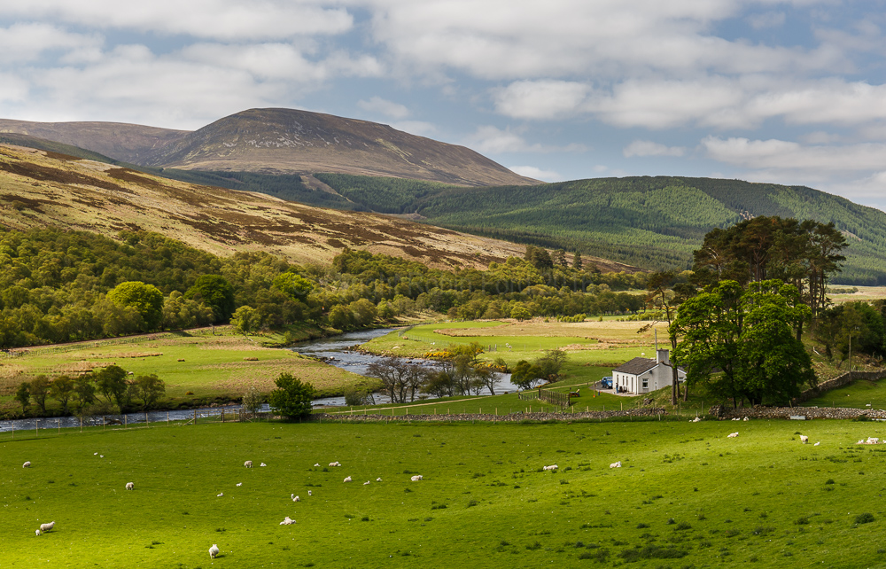 River Helmsdale
