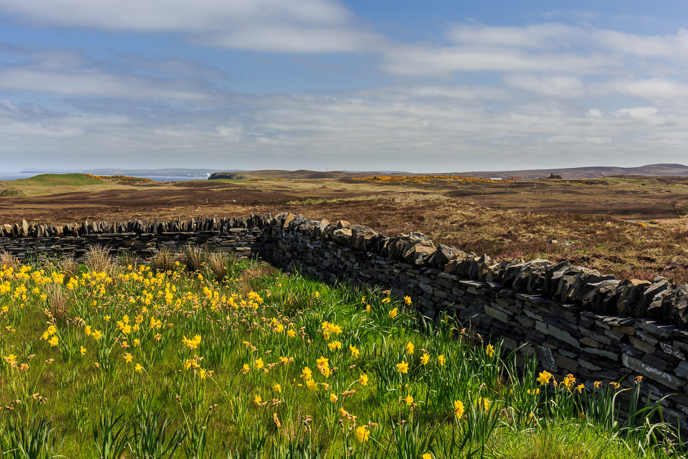 Marie Curie Cancer Care Field of Hope North Sutherland