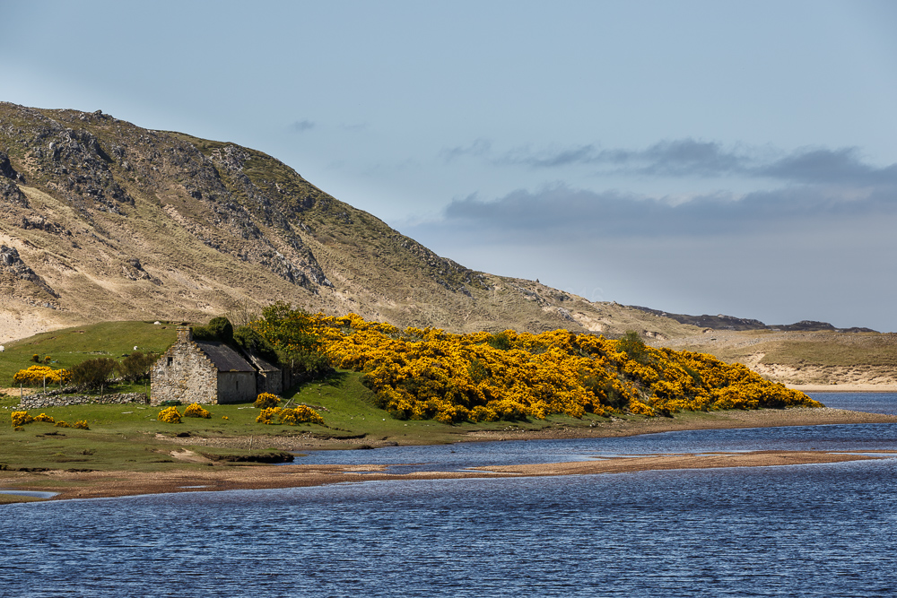 Invernaver