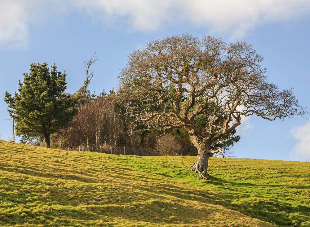 Blackpool Hill