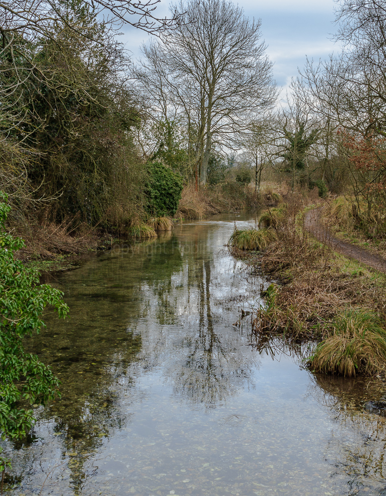 River Itchen, near Ovington Hampshire