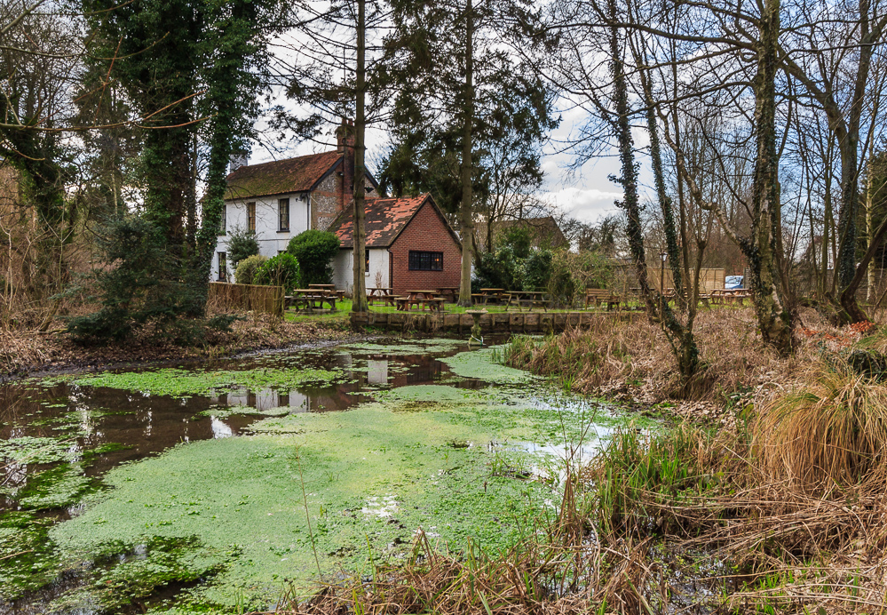 Ovington Hampshire