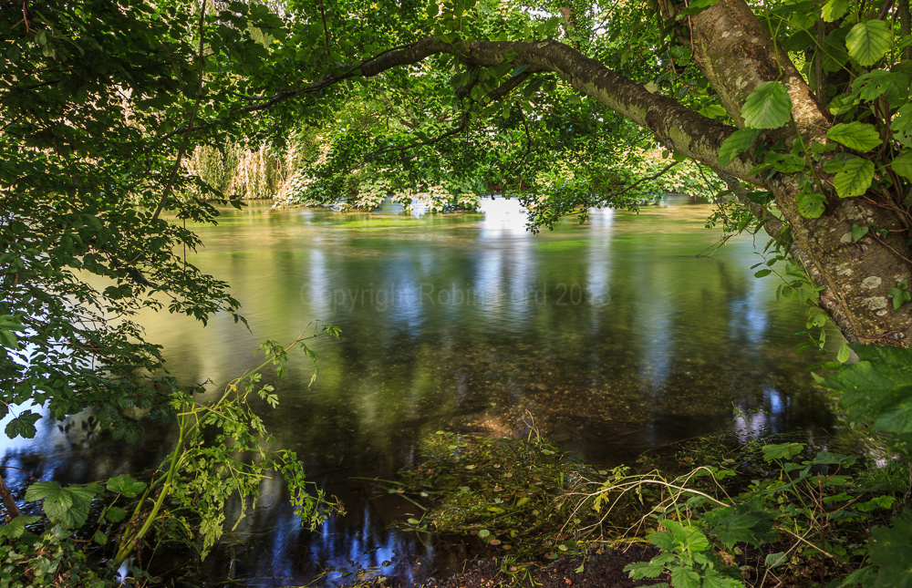 River Test, near Romsey Hampshire