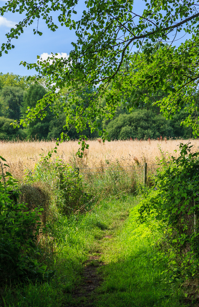 Near Romsey, Hampshire