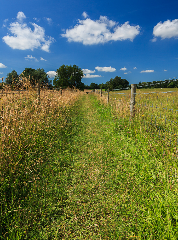 Near Romsey, Hampshire